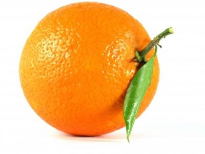 laranja-e-sua-origem[1].jpg